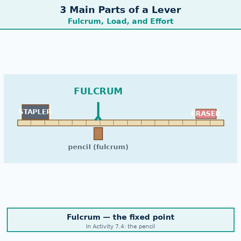 Animation for "What are the 3 main parts of a Lever". A short looping GIF, three or four beats, drawn in the flat classroom style of the chapter. Beat 1 — Two more terms. Label every arrow and quantity, name the direction each force or motion acts in, and hold the last frame for a moment before the loop starts again.