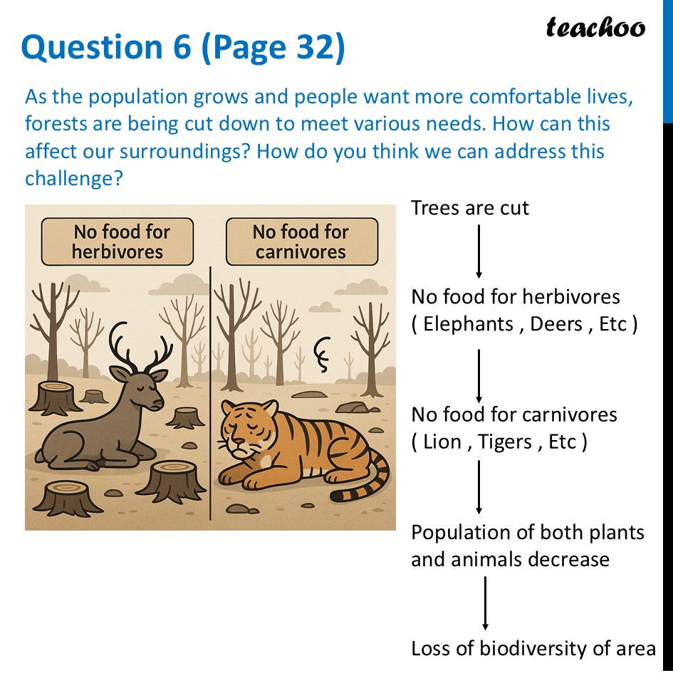As the population grows and people want more comfortable lives, forest - Questions at the end of chapter (Page 31, 32 & 33)