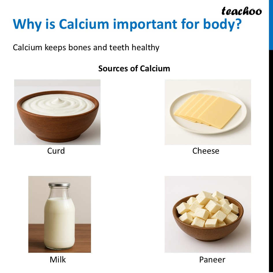 part 28 - Different Components of Food - Concepts - Chapter 3 Class 6 - Mindful Eating: A path to healthy body (Curiosity) - Class 6
