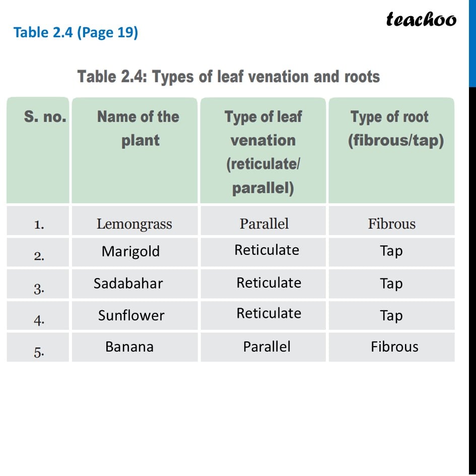 part 4 - Grouping Plants on basis of both Roots and Venation - Concepts - Chapter 2 Class 6 - Diversity in the living world (Curiosity) - Class 6