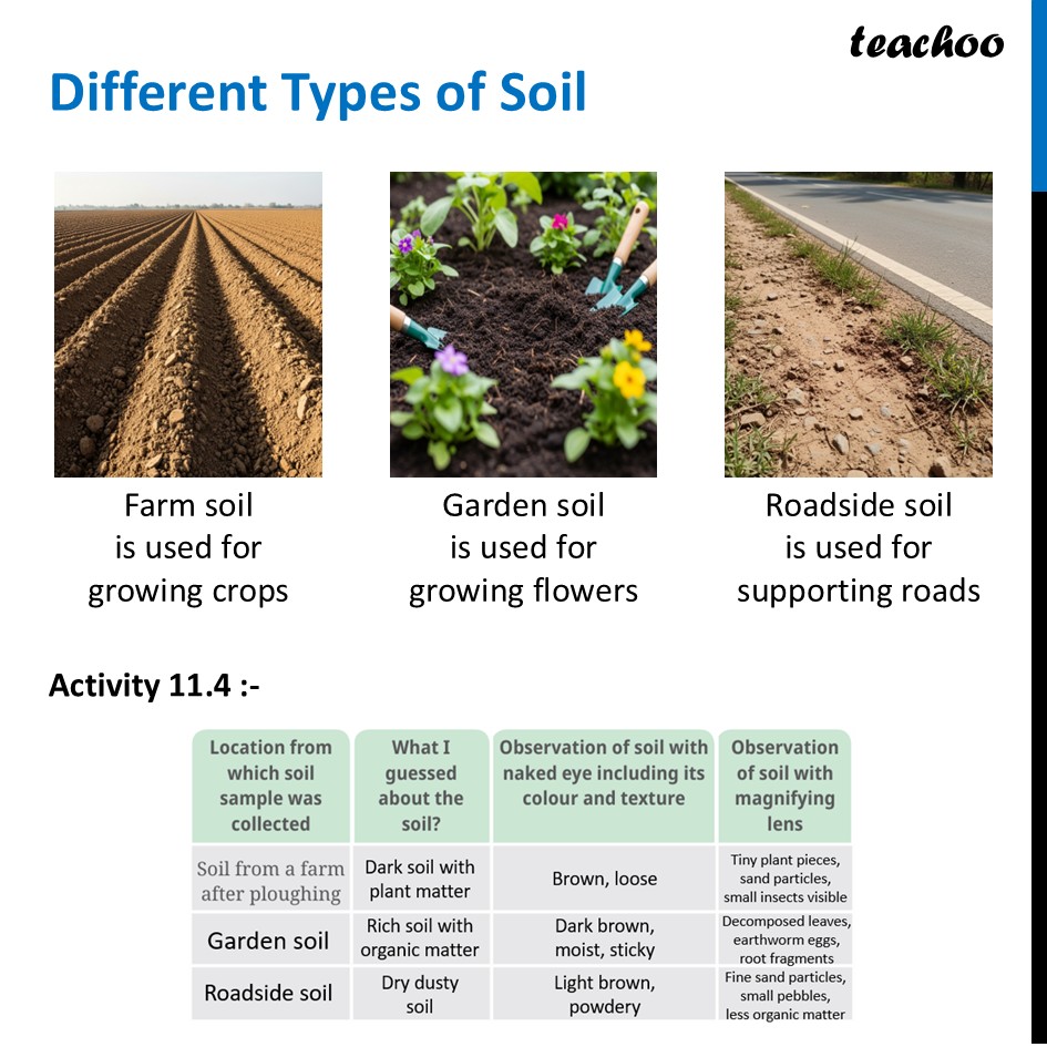 part 3 - Soil, Rocks and Minerals - Concepts - Chapter 11 Class 6 - Nature's Treasures (Curiosity) - Class 6