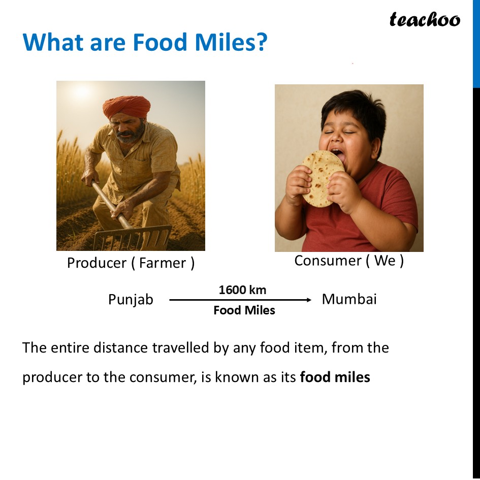 Concept of food miles and food wastage - [Class 6 Curiosity] - Concepts