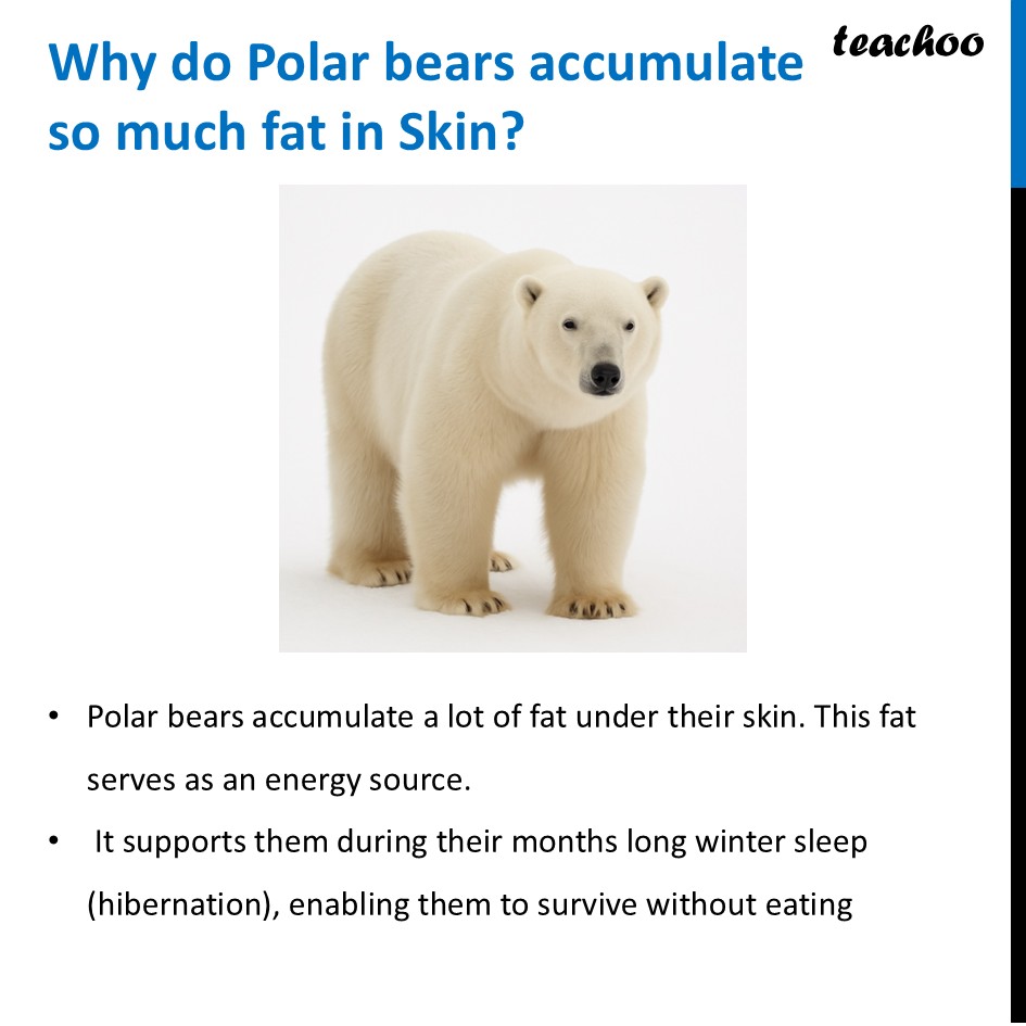 part 12 - Different Components of Food - Concepts - Chapter 3 Class 6 - Mindful Eating: A path to healthy body (Curiosity) - Class 6