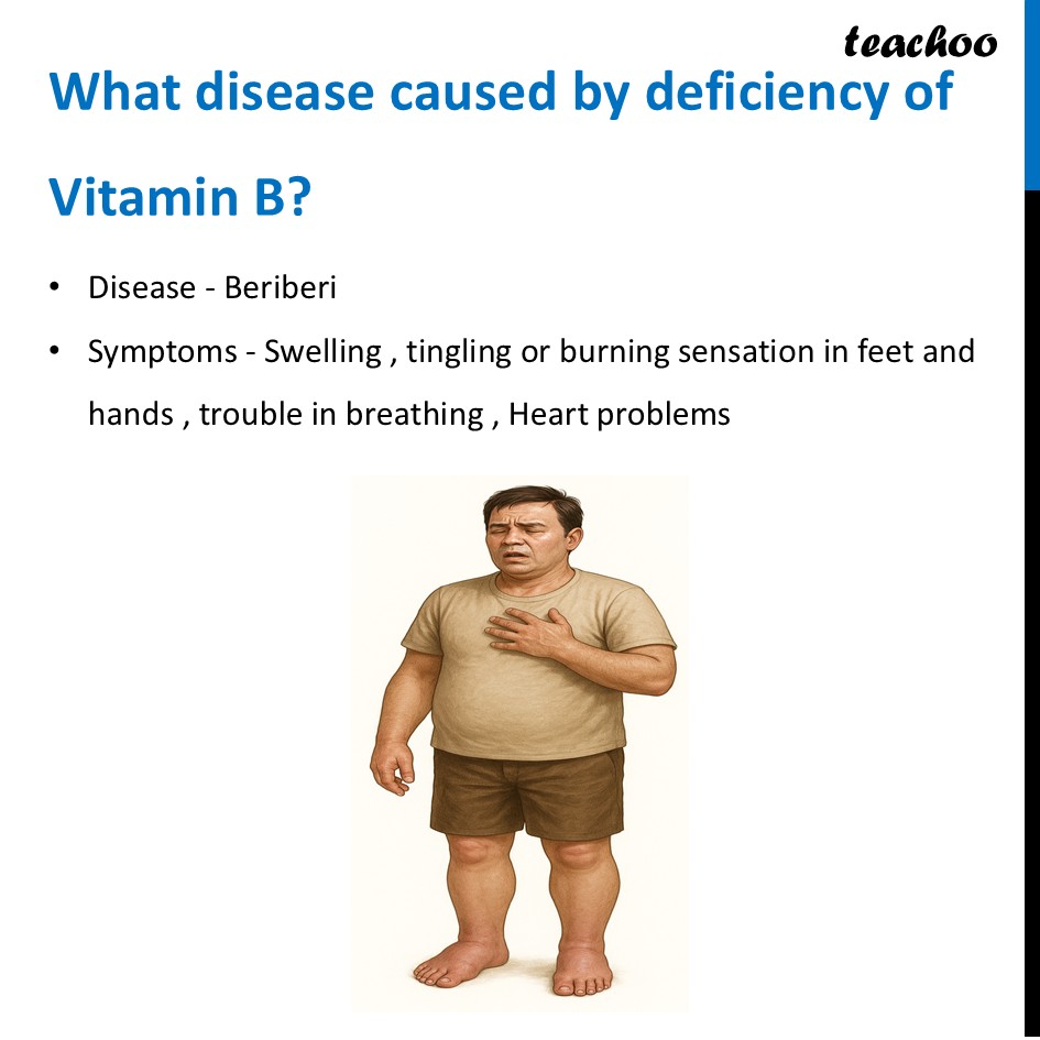part 22 - Different Components of Food - Concepts - Chapter 3 Class 6 - Mindful Eating: A path to healthy body (Curiosity) - Class 6