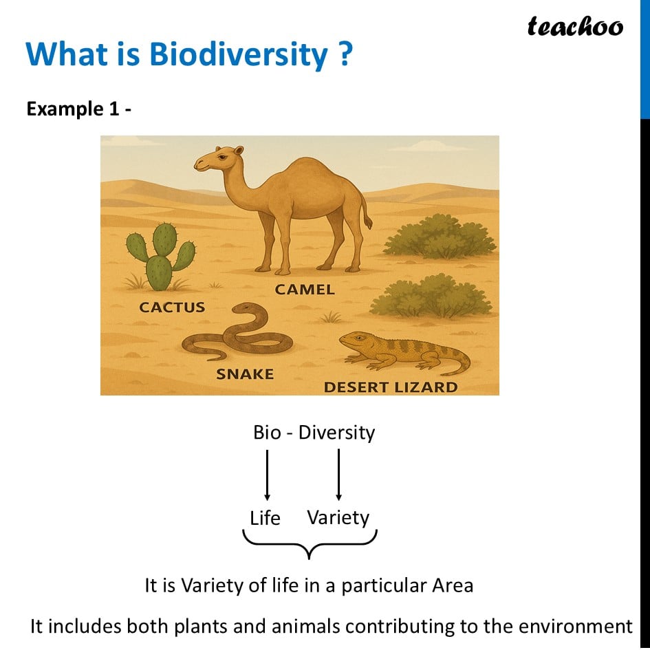 What is Biodivesity? - with Example - [Diversity In The Living World] - Concepts