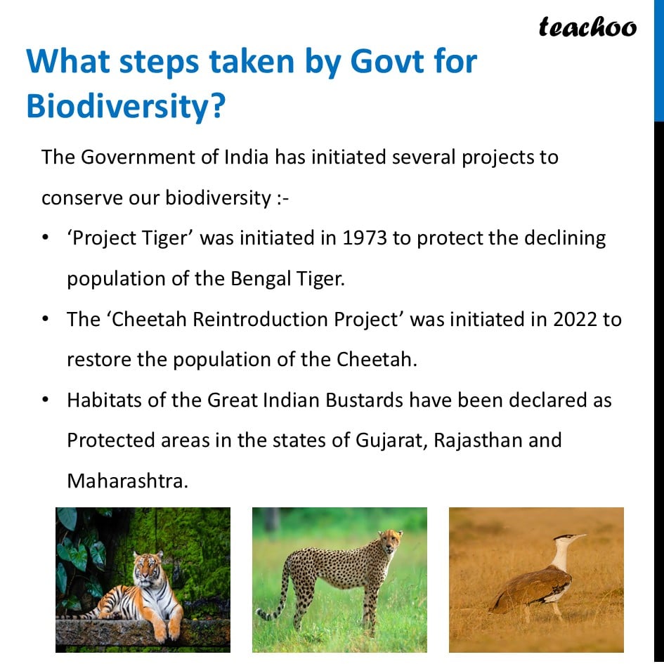 part 2 - Why should we protect biodiversity? - Concepts - Chapter 2 Class 6 - Diversity in the living world (Curiosity) - Class 6