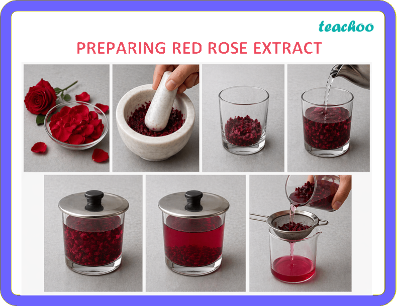 part 5 - 2.1.2 Red Rose as an Indicator - Concepts - Chapter 2 Class 7 - Exploring Substances: Acidic, Basic, and Neutral - Class 7