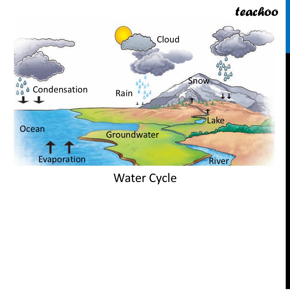 part 2 - Question 3 (ii) - Questions at the end of chapter (Page 227,228 & 229) - Chapter 11 Class 6 - Nature's Treasures (Curiosity) - Class 6