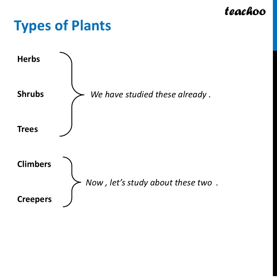 What are Climbers and Creepers? - [Diversity In The Living World] - Concepts