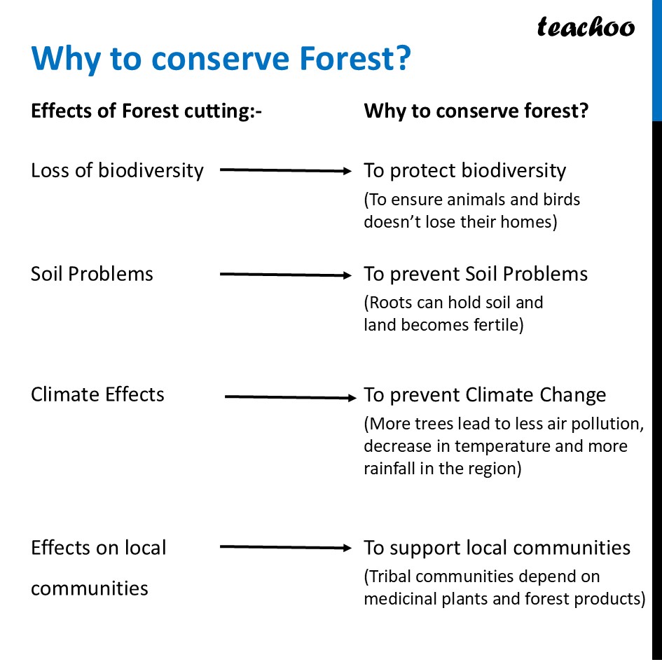 part 9 - Forests - Concepts - Chapter 11 Class 6 - Nature's Treasures (Curiosity) - Class 6