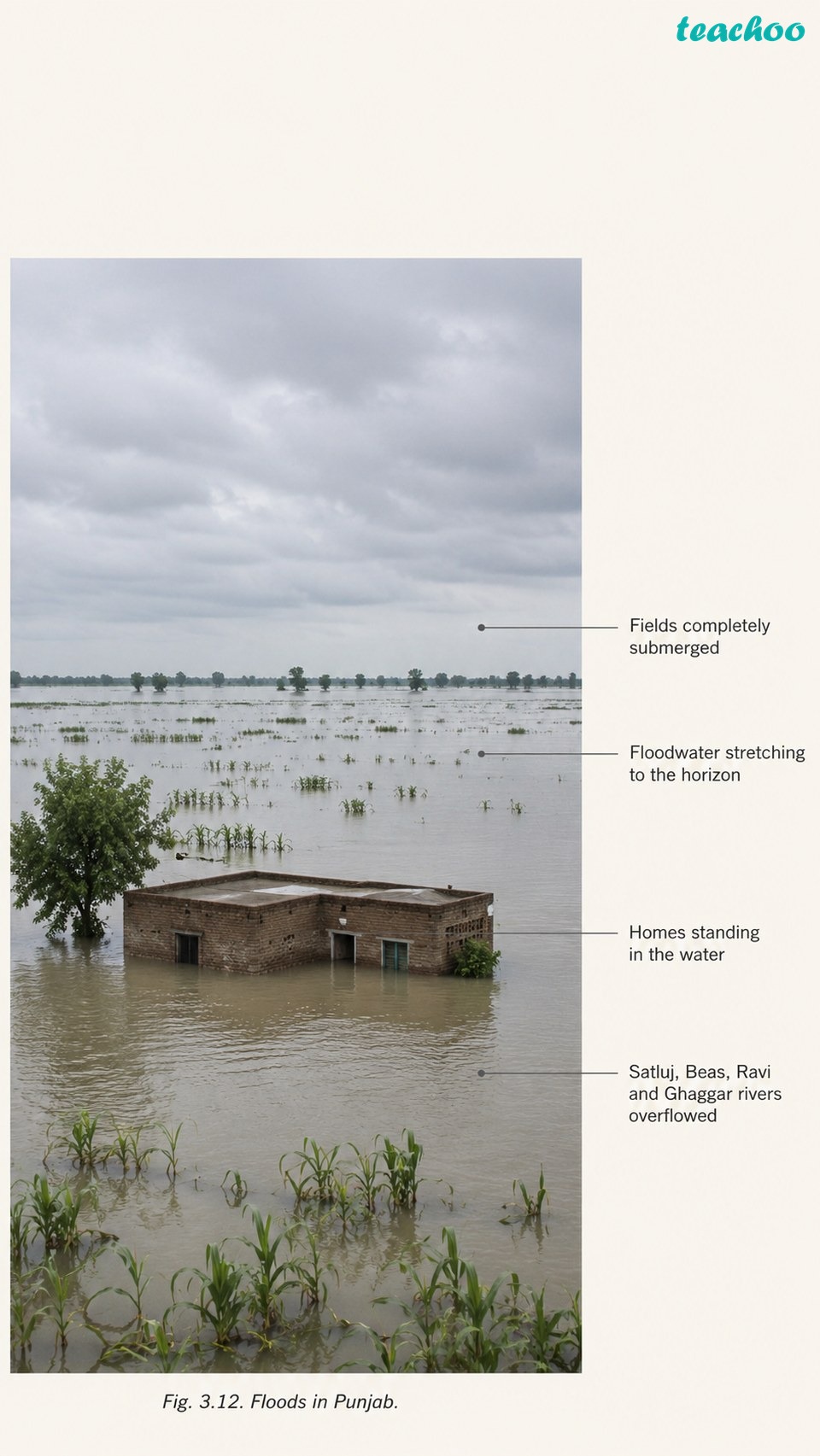 3.8 Punjab Floods 2025 — A Case - Atmosphere and Climate - [Teachoo] - Concepts