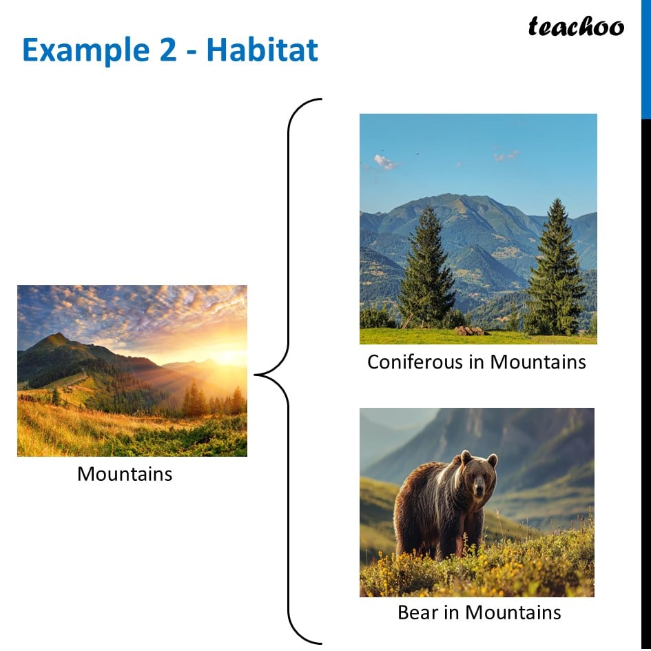 part 3 - Habitat - Concepts - Chapter 2 Class 6 - Diversity in the living world (Curiosity) - Class 6