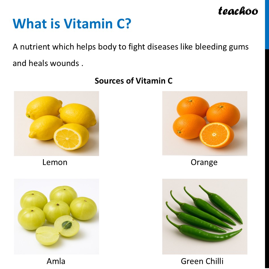 part 23 - Different Components of Food - Concepts - Chapter 3 Class 6 - Mindful Eating: A path to healthy body (Curiosity) - Class 6