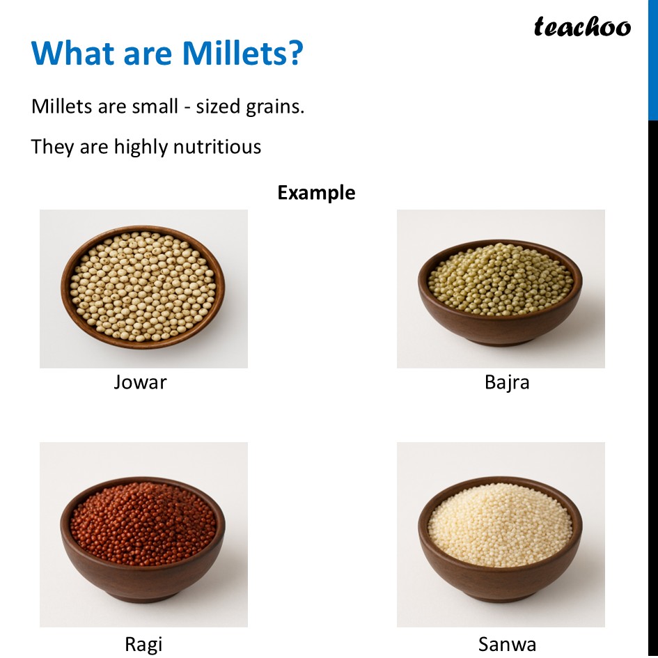 part 2 - Millets - Concepts - Chapter 3 Class 6 - Mindful Eating: A path to healthy body (Curiosity) - Class 6