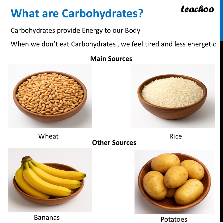 part 5 - Different Components of Food - Concepts - Chapter 3 Class 6 - Mindful Eating: A path to healthy body (Curiosity) - Class 6