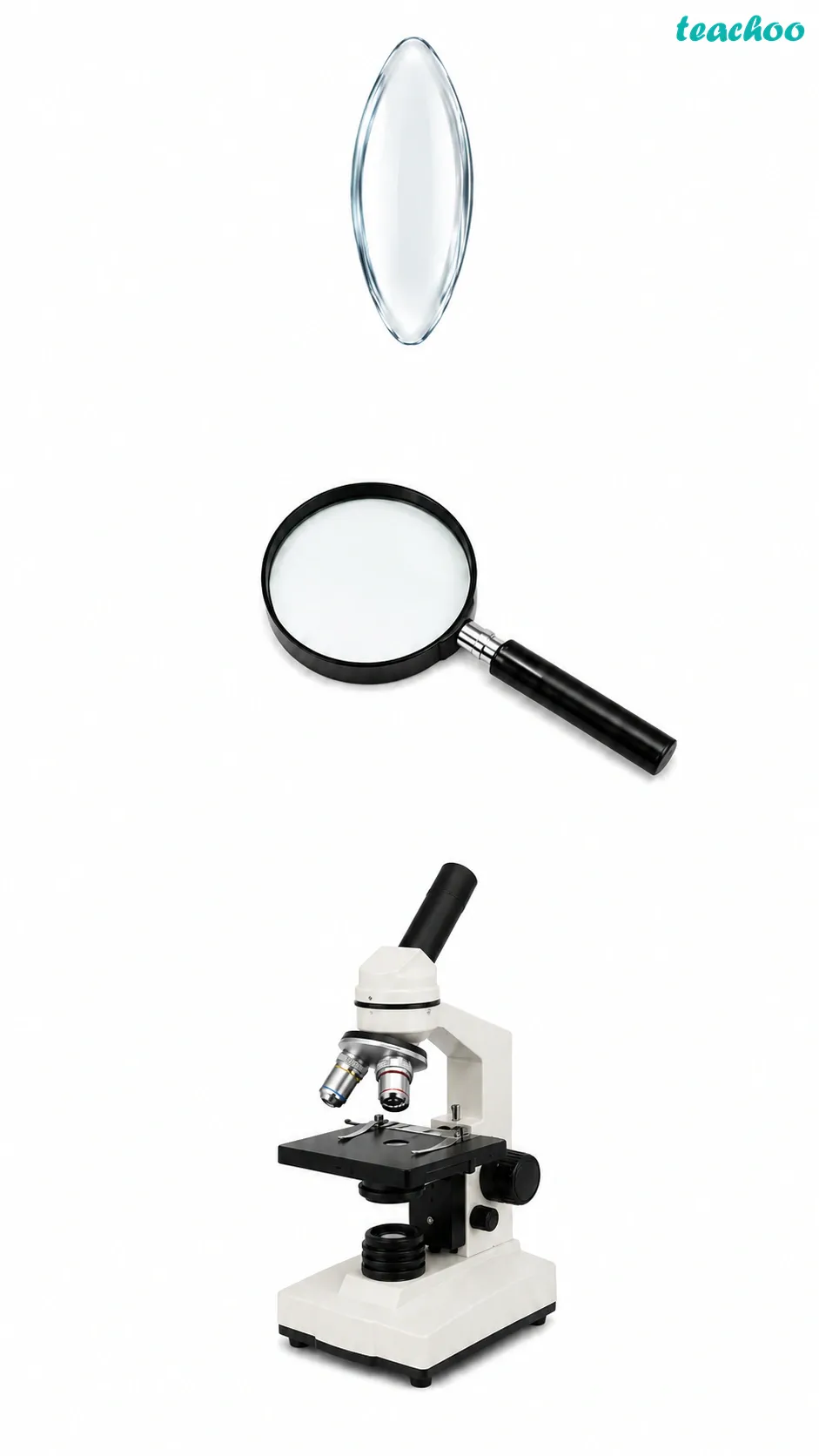 Image: A microscope opening up a hidden world of tiny living creatures like bacteria, algae, and protozoa that the naked eye cannot see