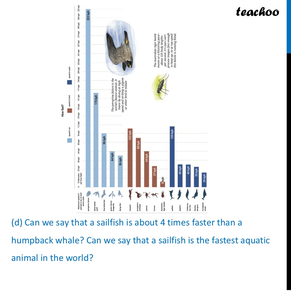 part 9 - Question 1 - Figure it out - Page 122-125 - Chapter 5 Class 7 - Connecting the Dots... (Ganita Prakash II) - Class 7 (Ganita Prakash 1, 2 & old NCERT)