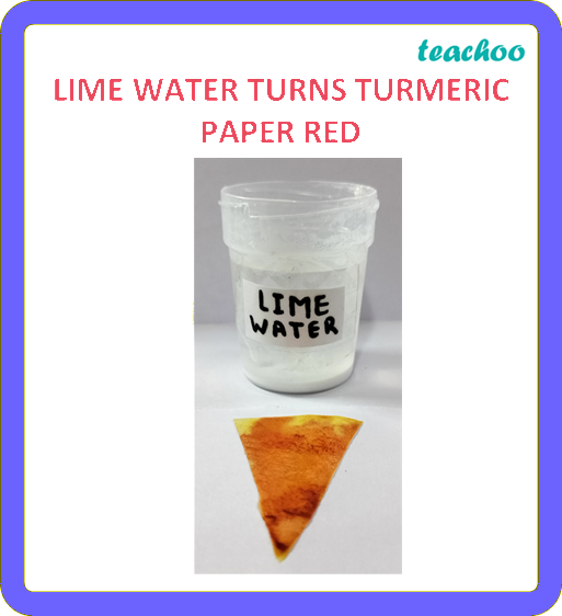 part 13 - 2.1.3 Turmeric as an Indicator - Concepts - Chapter 2 Class 7 - Exploring Substances: Acidic, Basic, and Neutral - Class 7