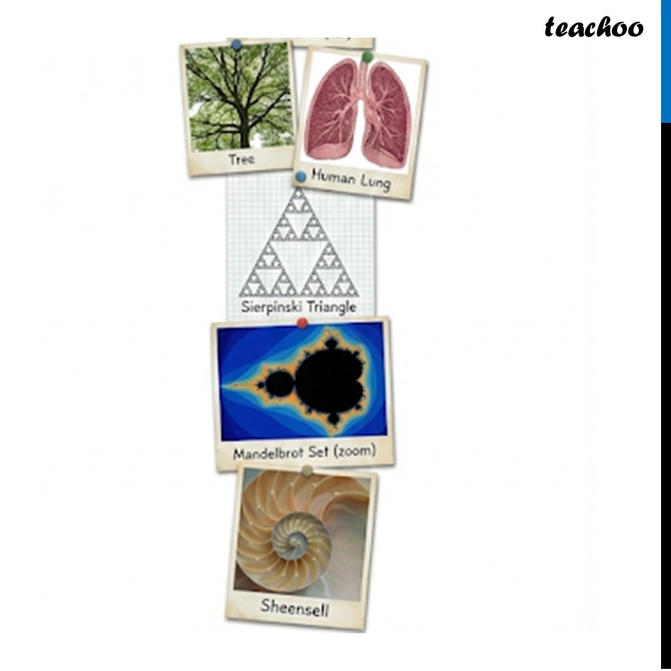 part 3 - Fractal Examples - Fractals - Chapter 4 Class 8 - Exploring Some Geometric Themes (Ganita Prakash II - Class 8 (Ganita Prakash - 1, 2 & Old NCERT)