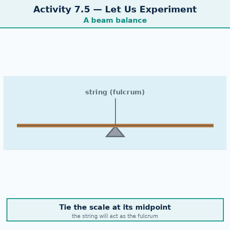 Animation for "Activity 7.5 — Let us experiment (Beam balance)". A short looping GIF, three or four beats, drawn in the flat classroom style of the chapter. Beat 1 — Take a long scale (50 cm or larger), a piece of string, two paper cups (to act as pans), adhesive tape or a piece of thread, and identical coins (to act as weights). Beat 2 — Step 1 — Tie the string tightly around the scale at its midpoint. This string will act as the fulcrum. Hang the scale from this string using a stand or hook, so that it can swing freely. This scale will now act as a beam. Beat 3 — Step 2 — Fix paper cups to both ends of the beam using thread. These cups act as the pans of a balance. Check whether the beam is levelled. If it is tilted, adjust the hanging points of the pans until both sides balance equally. Label every arrow and quantity, name the direction each force or motion acts in, and hold the last frame for a moment before the loop starts again.