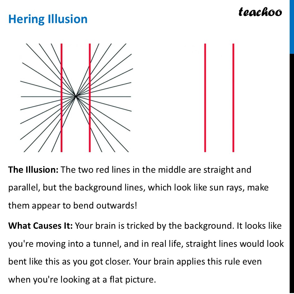 Hering Illusions - What is it? Why does it happen? - Parallel Illusion - Parallel Illusions
