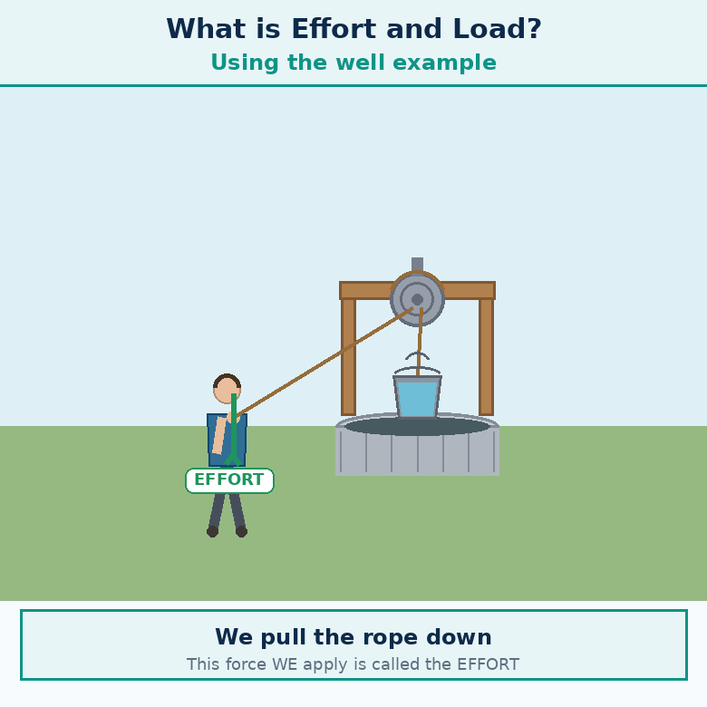 Animation for "What is Effort and Load". A short looping GIF, three or four beats, drawn in the flat classroom style of the chapter.  Label every arrow and quantity, name the direction each force or motion acts in, and hold the last frame for a moment before the loop starts again.