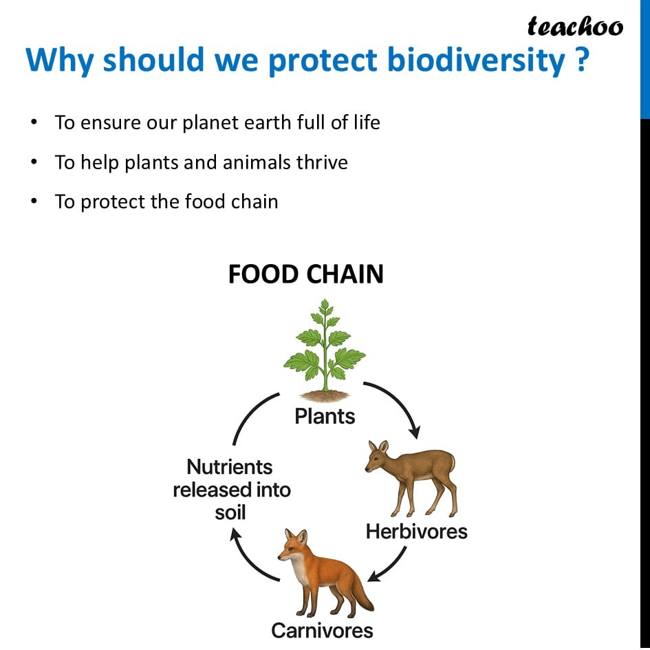 [Class 6 Science] Why should we protect biodiversity? - Teachoo - Concepts