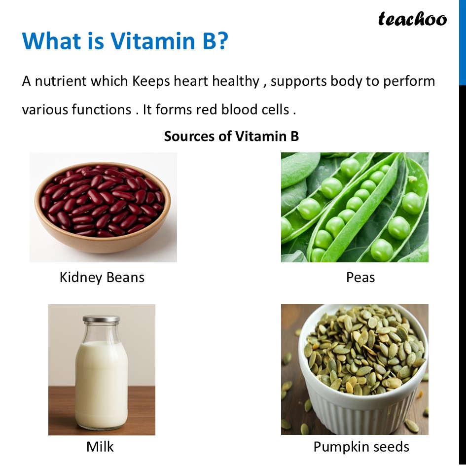 part 21 - Different Components of Food - Concepts - Chapter 3 Class 6 - Mindful Eating: A path to healthy body (Curiosity) - Class 6