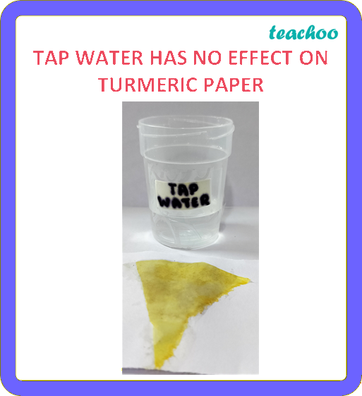 part 14 - 2.1.3 Turmeric as an Indicator - Concepts - Chapter 2 Class 7 - Exploring Substances: Acidic, Basic, and Neutral - Class 7