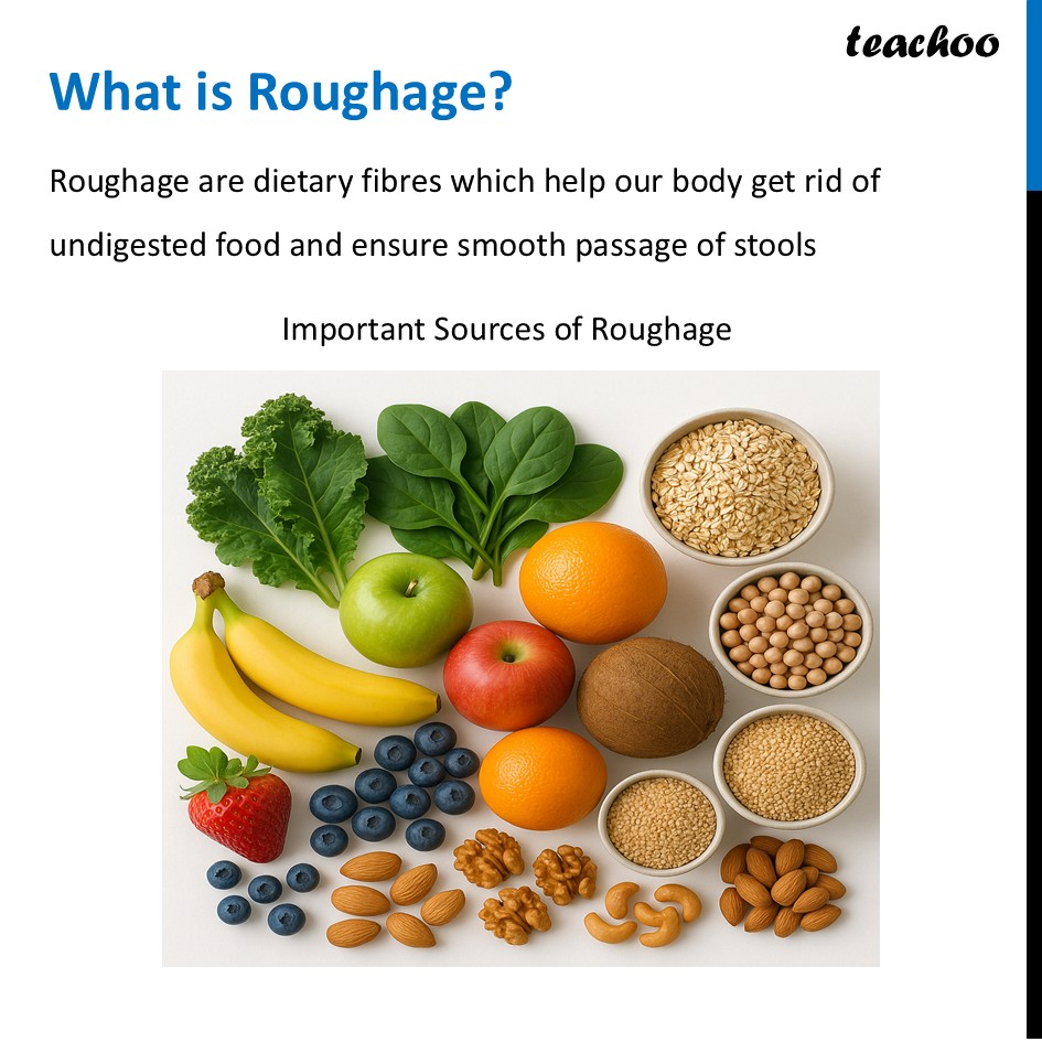 part 40 - Different Components of Food - Concepts - Chapter 3 Class 6 - Mindful Eating: A path to healthy body (Curiosity) - Class 6