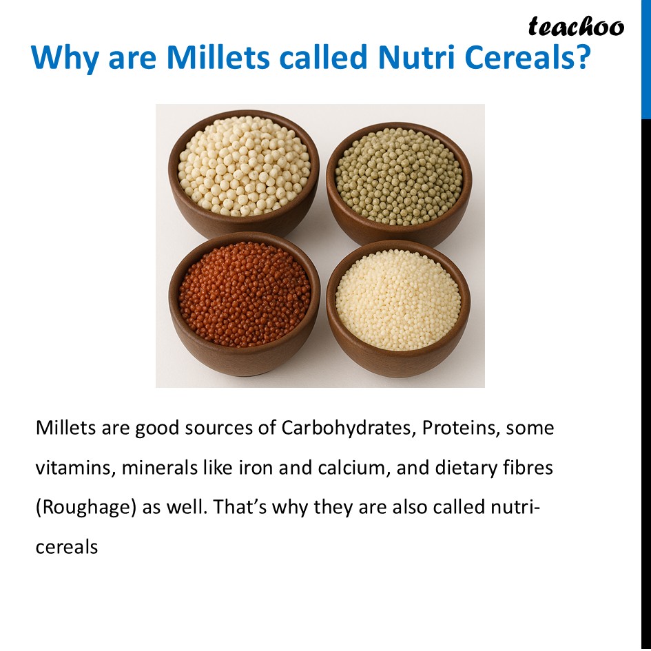 part 5 - Millets - Concepts - Chapter 3 Class 6 - Mindful Eating: A path to healthy body (Curiosity) - Class 6