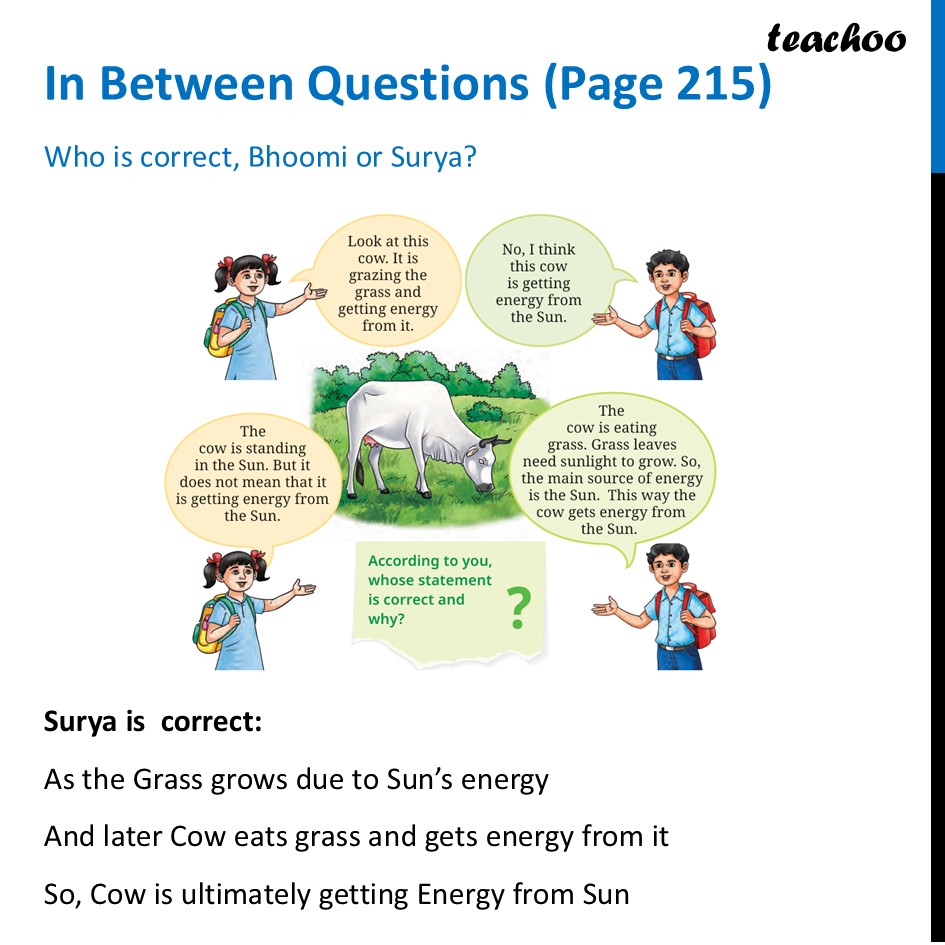 part 12 - Energy from the Sun - Concepts - Chapter 11 Class 6 - Nature's Treasures (Curiosity) - Class 6