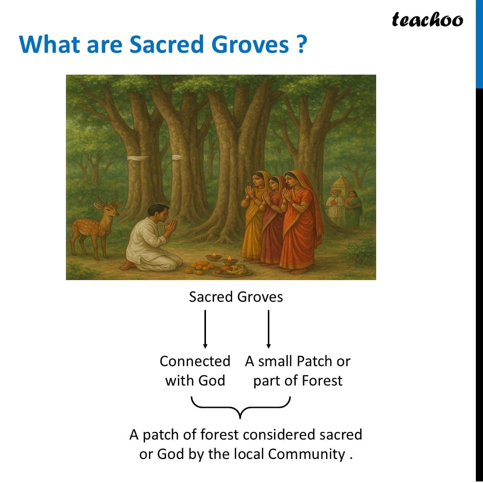 part 3 - Why should we protect biodiversity? - Concepts - Chapter 2 Class 6 - Diversity in the living world (Curiosity) - Class 6