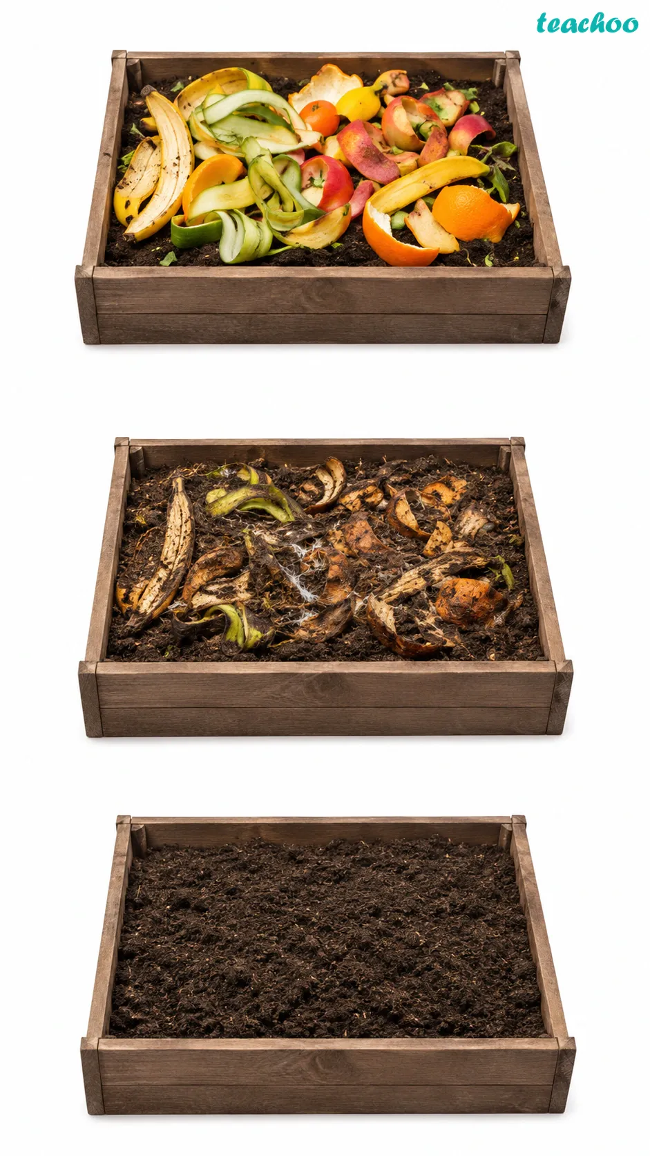 Image: Fruit and vegetable peels buried in a soil pit slowly turning into dark, crumbly manure as fungi and bacteria break them down