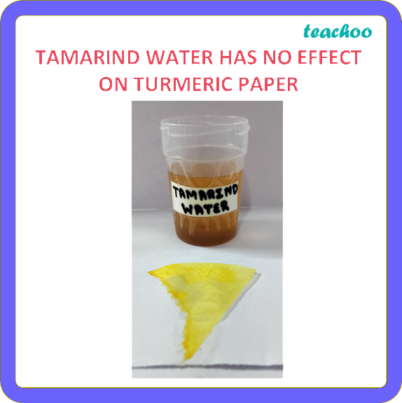 part 10 - 2.1.3 Turmeric as an Indicator - Concepts - Chapter 2 Class 7 - Exploring Substances: Acidic, Basic, and Neutral - Class 7