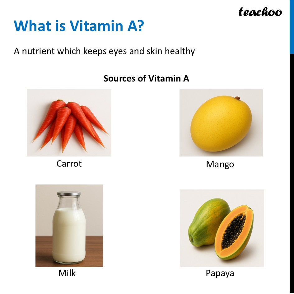 part 19 - Different Components of Food - Concepts - Chapter 3 Class 6 - Mindful Eating: A path to healthy body (Curiosity) - Class 6