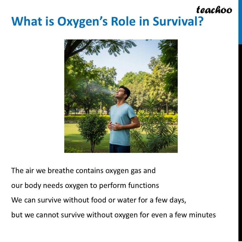 part 5 - Air - Concepts - Chapter 11 Class 6 - Nature's Treasures (Curiosity) - Class 6