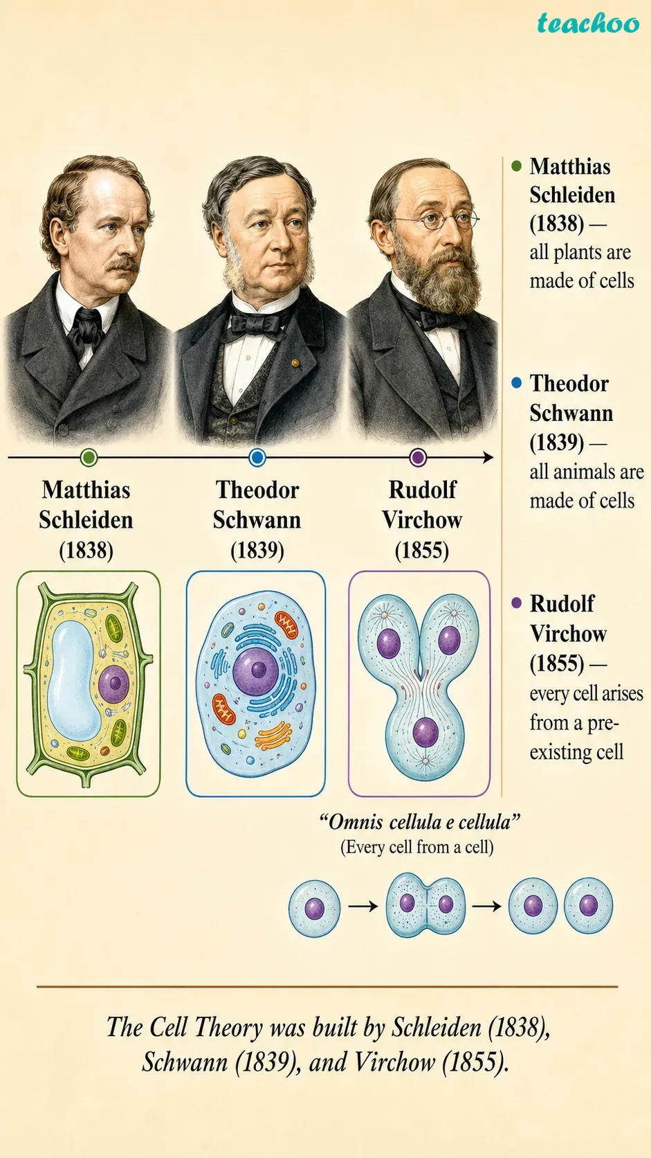 2.5 Cell Theory — The Unifying P - Cell — The Building Bl - [Teachoo] - Concepts
