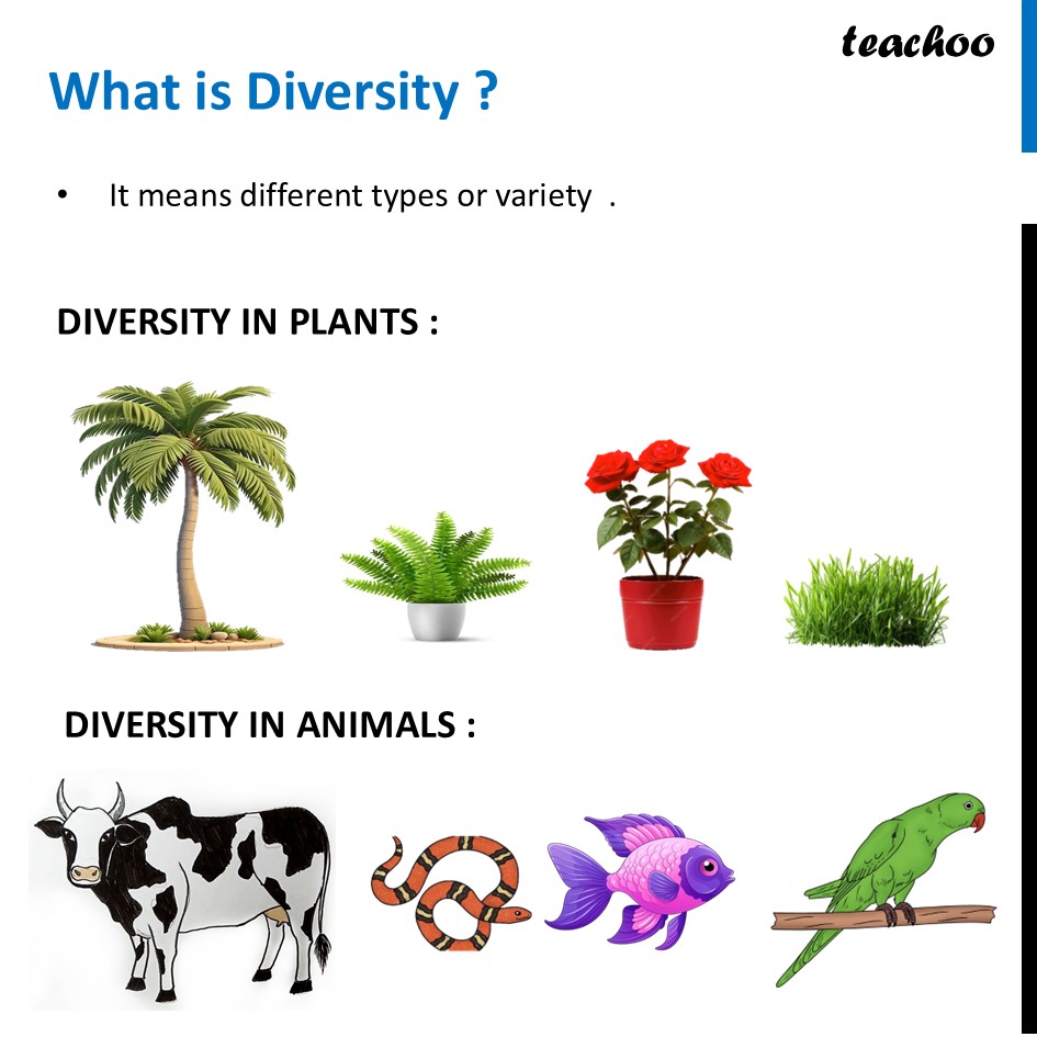 part 2 - Meaning of Diversity - Concepts - Chapter 2 Class 6 - Diversity in the living world (Curiosity) - Class 6