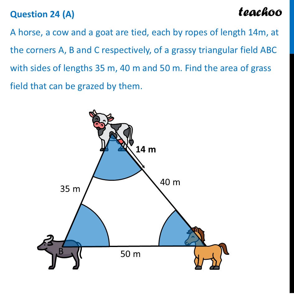 A horse, a cow and a goat are tied, each by ropes of length 14m - CBSE Class 10 Sample Paper for 2026 Boards - Maths Standard