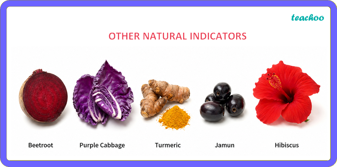 part 4 - 2.1.2 Red Rose as an Indicator - Concepts - Chapter 2 Class 7 - Exploring Substances: Acidic, Basic, and Neutral - Class 7