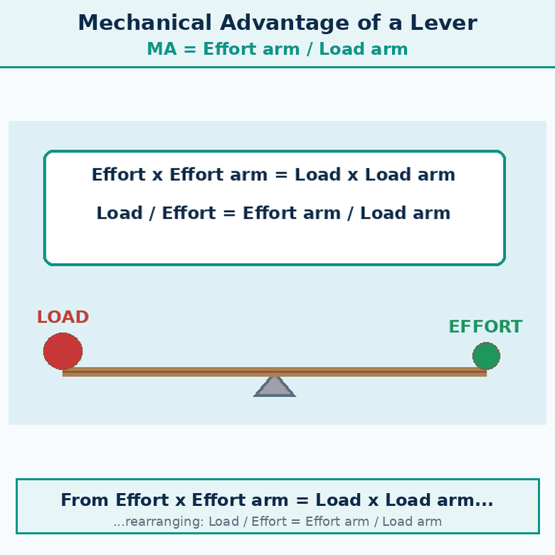 Animation for "What is the Mechanical Advantage of a Lever". A short looping GIF, three or four beats, drawn in the flat classroom style of the chapter. Beat 1 — From Effort × Effort arm = Load × Load arm. Beat 2 — Rearranging. Beat 3 — Mechanical advantage = Load / Effort. Label every arrow and quantity, name the direction each force or motion acts in, and hold the last frame for a moment before the loop starts again.