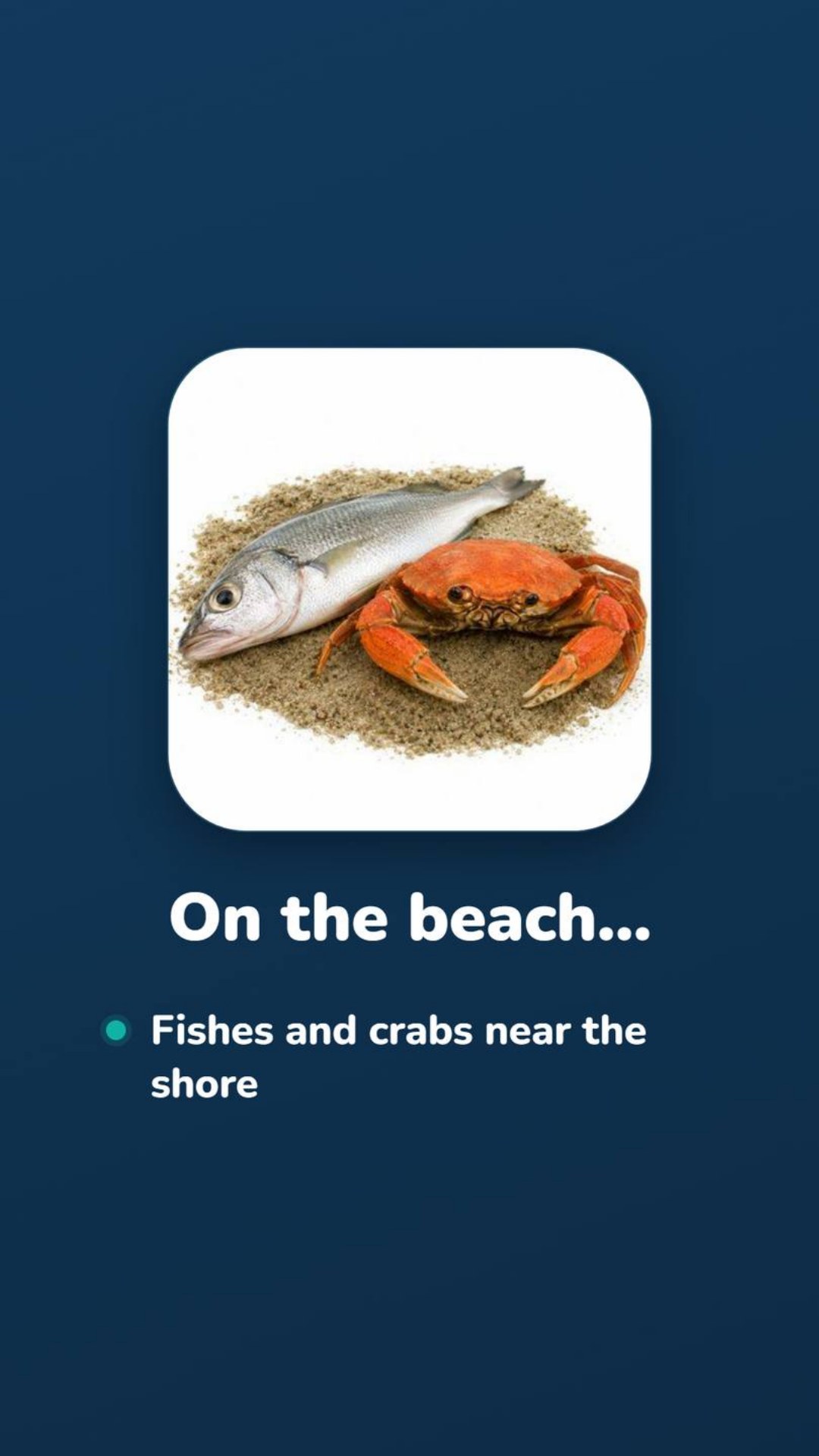 011- On the beach - Fishes & crabs.jpg