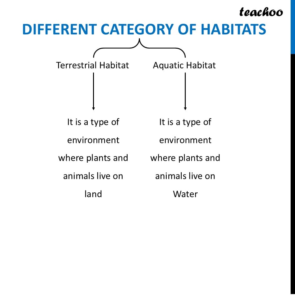 part 5 - Habitat - Concepts - Chapter 2 Class 6 - Diversity in the living world (Curiosity) - Class 6