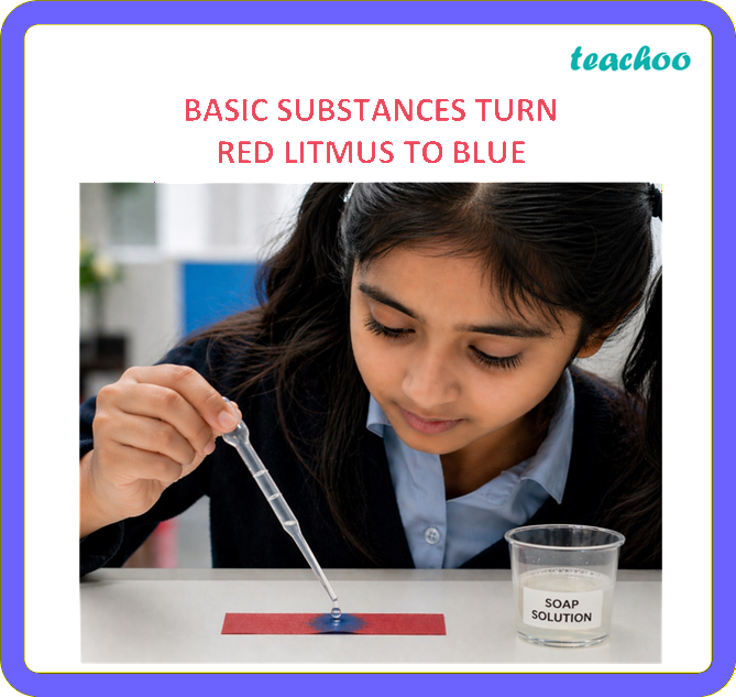 part 4 - 2.1.1 Litmus as an Indicator - Concepts - Chapter 2 Class 7 - Exploring Substances: Acidic, Basic, and Neutral - Class 7