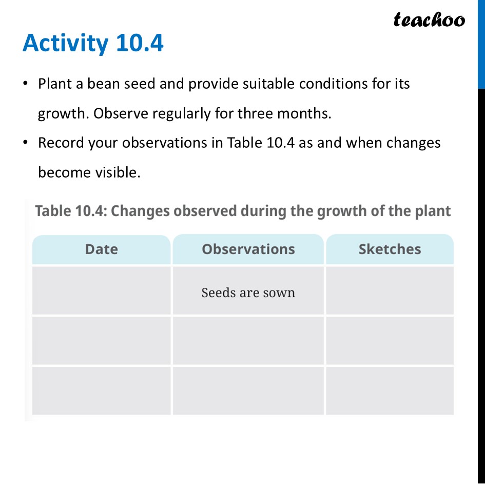 part 3 - Life Cycle of a Plant - Concepts - Chapter 10 Class 6 - Living Creatures: Exploring their Characterstics - Class 6