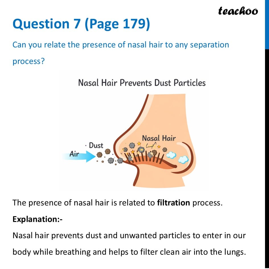 Can you relate the presence of nasal hair to any separation process? - Questions at the end of chapter (Page 178,179 & 180)