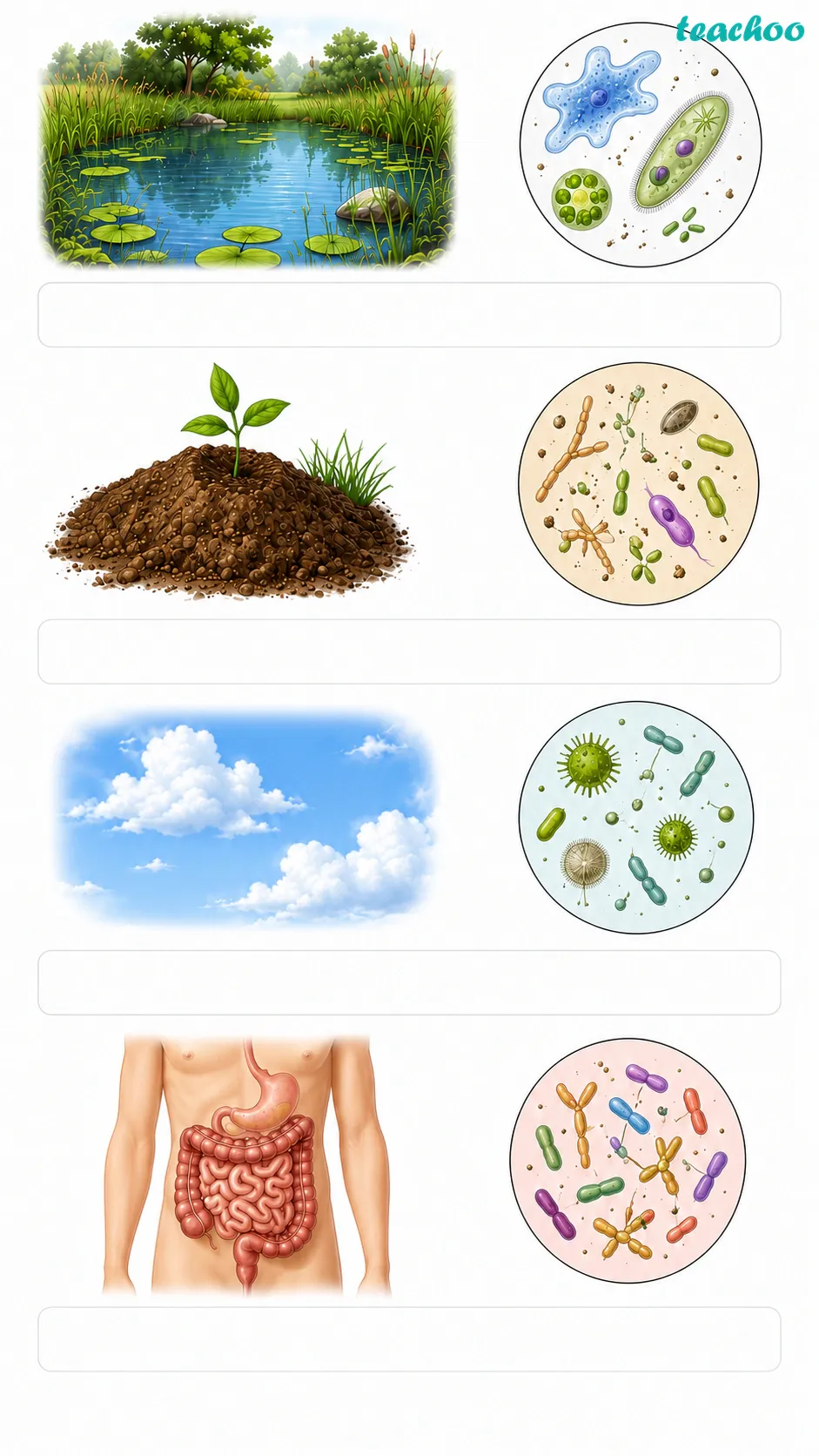 Image: Microbes shown living in many places at once, floating in pond water, in a handful of soil and in the air, in a steaming hot spring and in snow, and inside the human gut, showing they are everywhere
