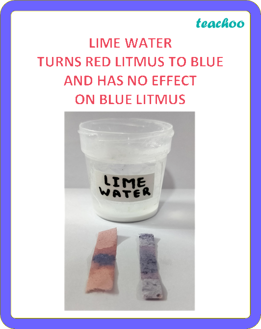 part 13 - 2.1.1 Litmus as an Indicator - Concepts - Chapter 2 Class 7 - Exploring Substances: Acidic, Basic, and Neutral - Class 7