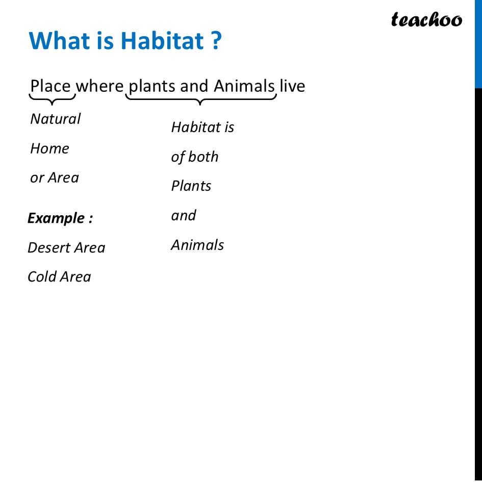 What are Habitat - Terrestrial and Aquatic - (Class 6 Curiosity) - Concepts